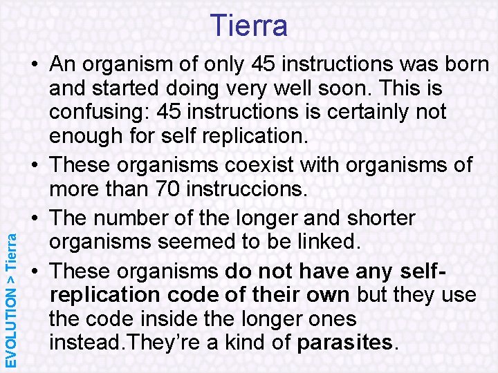 EVOLUTION > Tierra • An organism of only 45 instructions was born and started