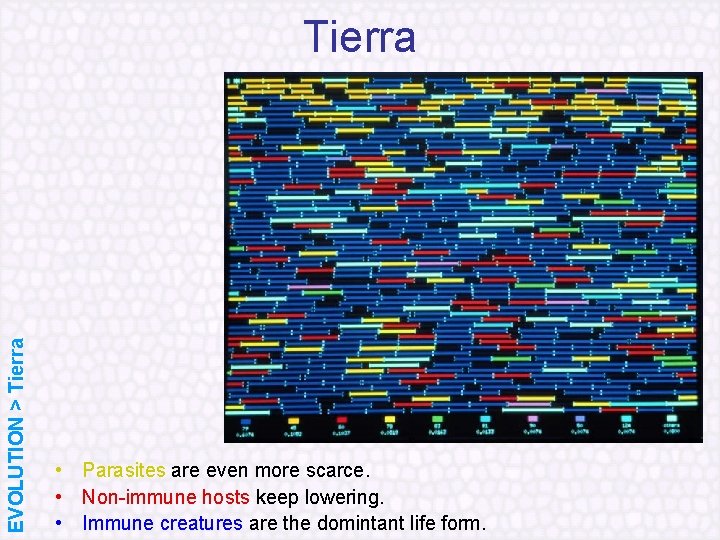 EVOLUTION > Tierra • Parasites are even more scarce. • Non immune hosts keep