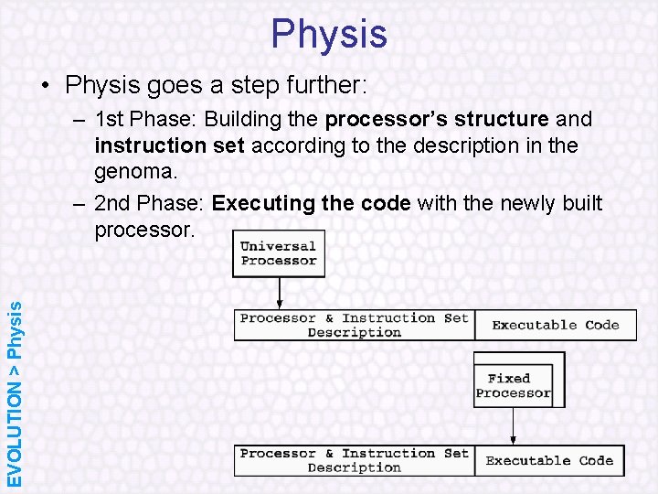 Physis • Physis goes a step further: EVOLUTION > Physis – 1 st Phase: