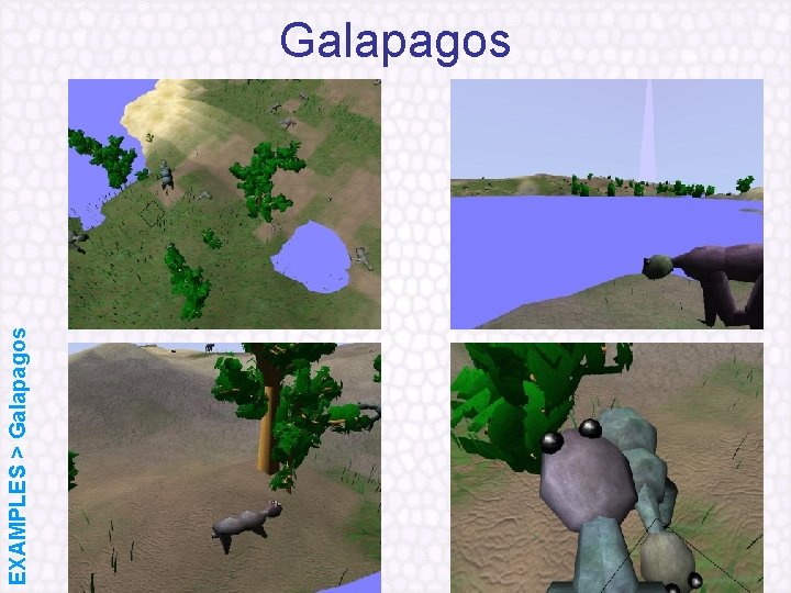 EXAMPLES > Galapagos 