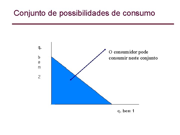 Conjunto de possibilidades de consumo O consumidor pode consumir neste conjunto 