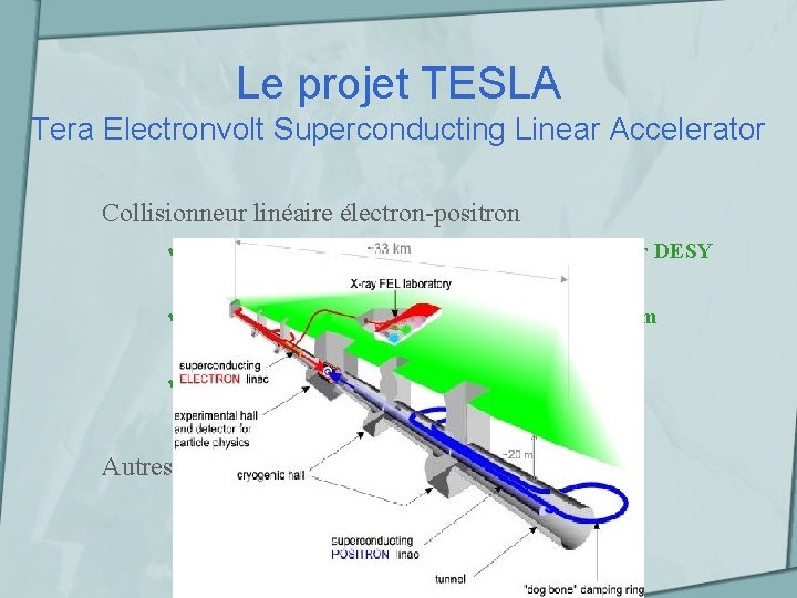 Le projet TESLA Tera Electronvolt Superconducting Linear Accelerator Collisionneur linéaire électron-positron Projet de collaboration