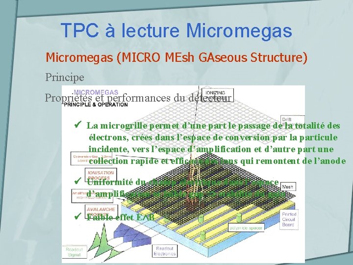 TPC à lecture Micromegas (MICRO MEsh GAseous Structure) Principe Propriétés et performances du détecteur