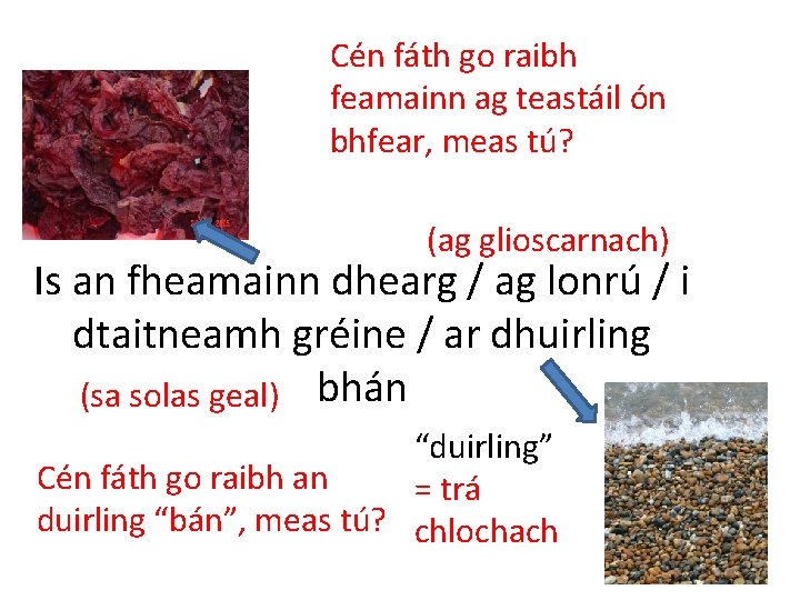 Cén fáth go raibh feamainn ag teastáil ón bhfear, meas tú? (ag glioscarnach) Is