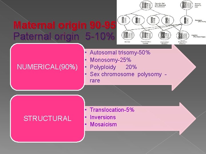 Maternal origin 90 -95% Paternal origin 5 -10% • • Autosomal trisomy-50% Monosomy-25% Polyploidy