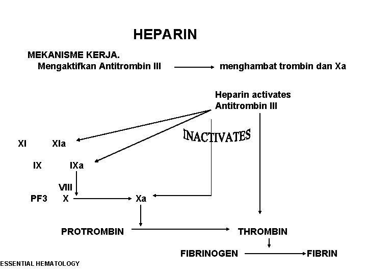 HEPARIN MEKANISME KERJA. Mengaktifkan Antitrombin III menghambat trombin dan Xa Heparin activates Antitrombin III