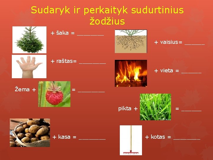 Sudaryk ir perkaityk sudurtinius žodžius + šaka = ____ + vaisius= ______ + raštas=