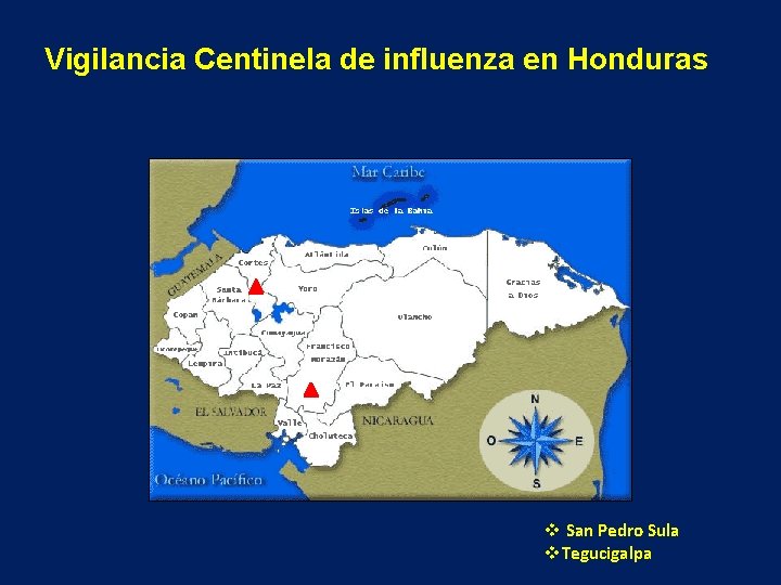 Vigilancia Centinela de influenza en Honduras v San Pedro Sula v. Tegucigalpa 