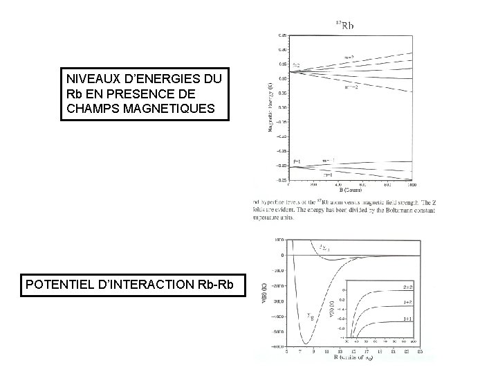 NIVEAUX D’ENERGIES DU Rb EN PRESENCE DE CHAMPS MAGNETIQUES POTENTIEL D’INTERACTION Rb-Rb NIVEAUX D’ENERGIES DU Rb EN PRESENCE DE CHAMPS MAGNETIQUES POTENTIEL D’INTERACTION Rb-Rb