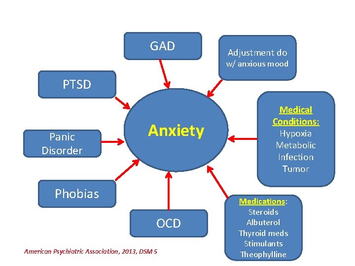 GAD Adjustment do w/ anxious mood PTSD Panic Disorder Anxiety Phobias OCD American Psychiatric
