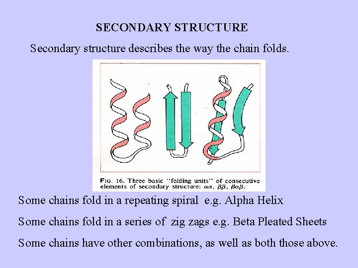 PROTEIN STRUCTURES To see some of these images