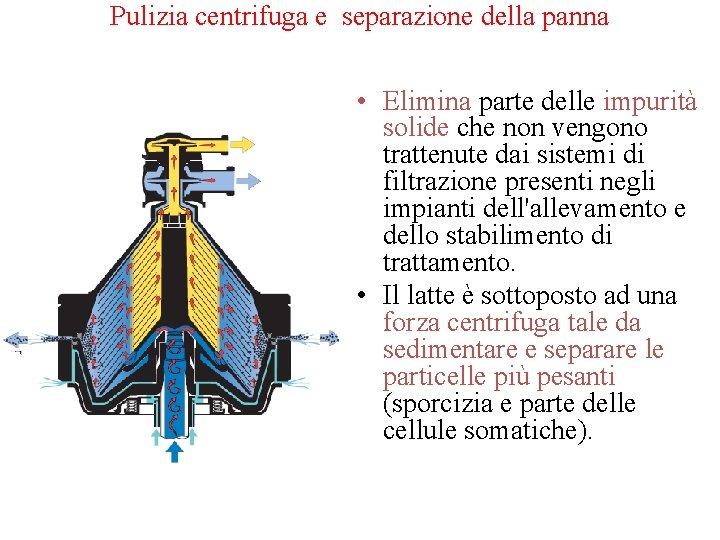 Pulizia centrifuga e separazione della panna • Elimina parte delle impurità solide che non