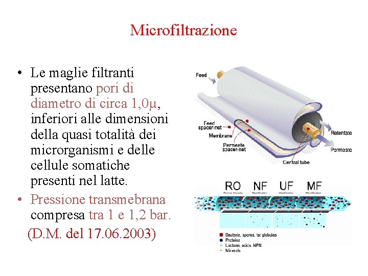 Microfiltrazione • Le maglie filtranti presentano pori di diametro di circa 1, 0µ, inferiori