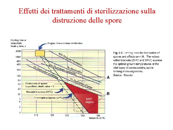 Effetti dei trattamenti di sterilizzazione sulla distruzione delle spore 