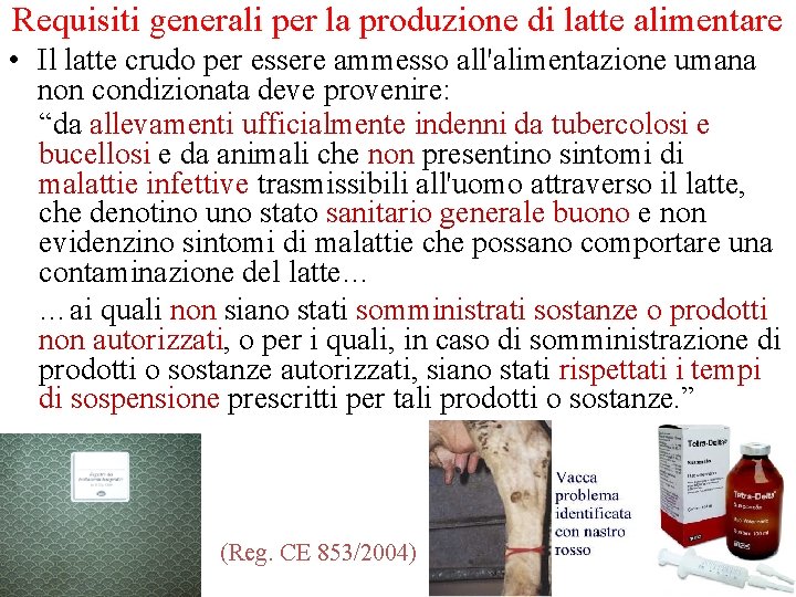 Requisiti generali per la produzione di latte alimentare • Il latte crudo per essere