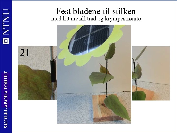 Fest bladene til stilken SKOLELABORATORIET med litt metall tråd og krympestrømte 27 