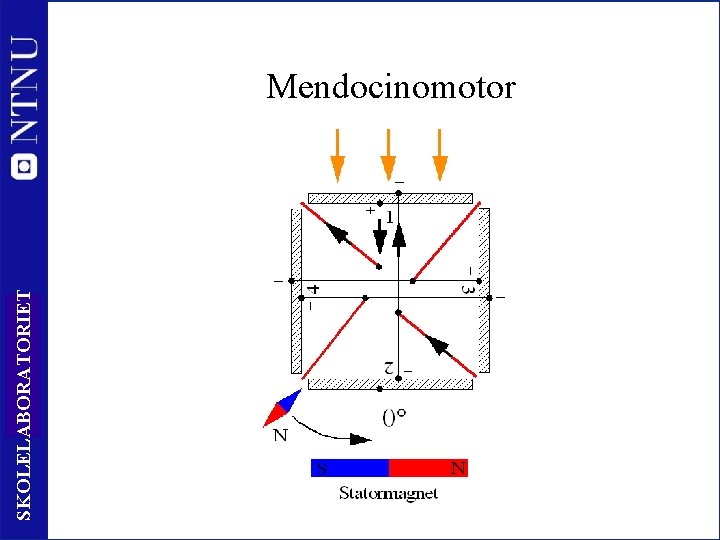 SKOLELABORATORIET Mendocinomotor 39 