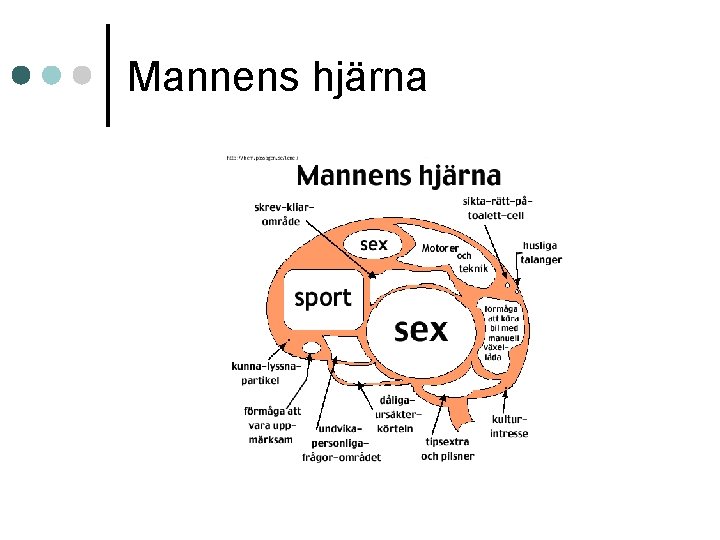 Mannens hjärna 