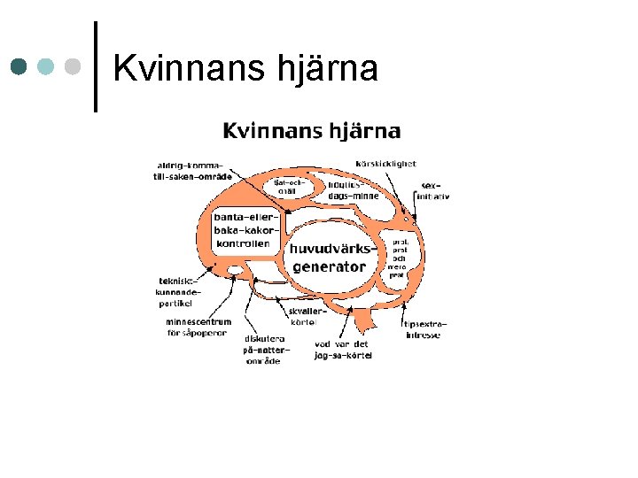 Kvinnans hjärna 