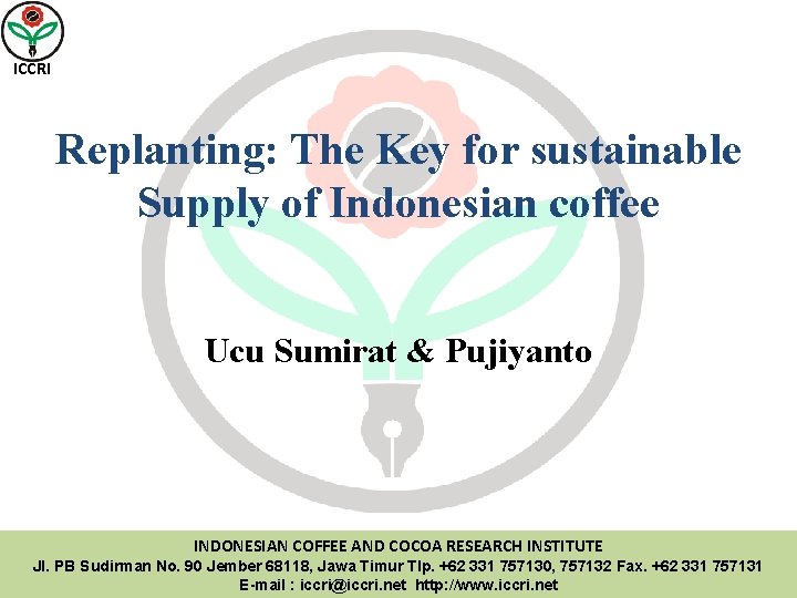 ICCRI Replanting: The Key for sustainable Supply of Indonesian coffee Ucu Sumirat & Pujiyanto