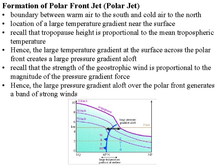 Formation of Polar Front Jet (Polar Jet) • boundary between warm air to the