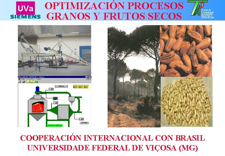 UVa OPTIMIZACIÓN PROCESOS GRANOS Y FRUTOS SECOS Grupo de Tecnologías Avanzadas Agrarias y Alimentarias