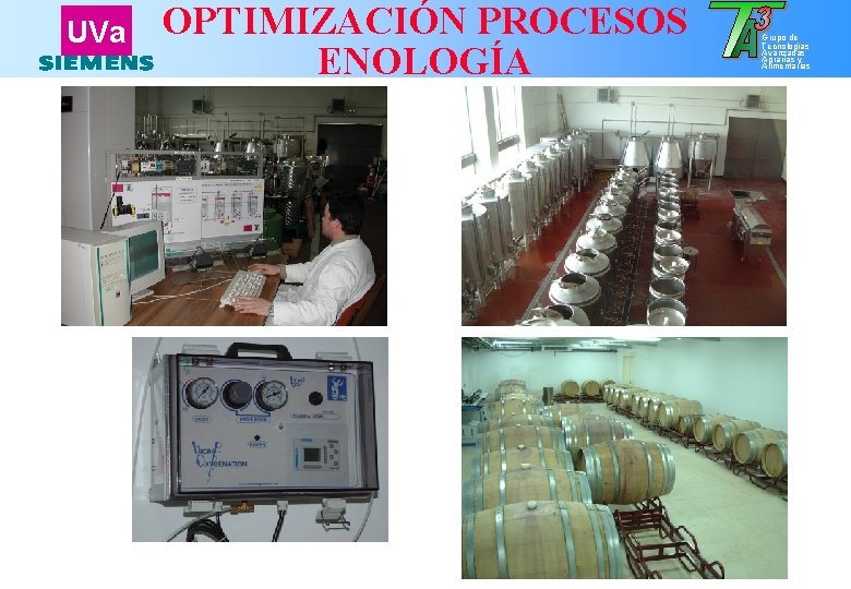 UVa OPTIMIZACIÓN PROCESOS ENOLOGÍA Grupo de Tecnologías Avanzadas Agrarias y Alimentarias 