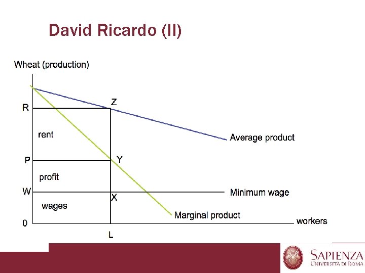 David Ricardo (II) 