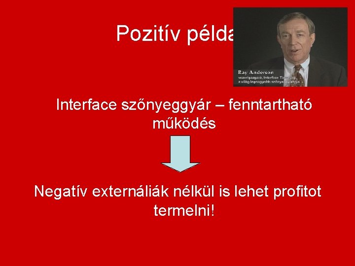 Pozitív példa Interface szőnyeggyár – fenntartható működés Negatív externáliák nélkül is lehet profitot termelni!