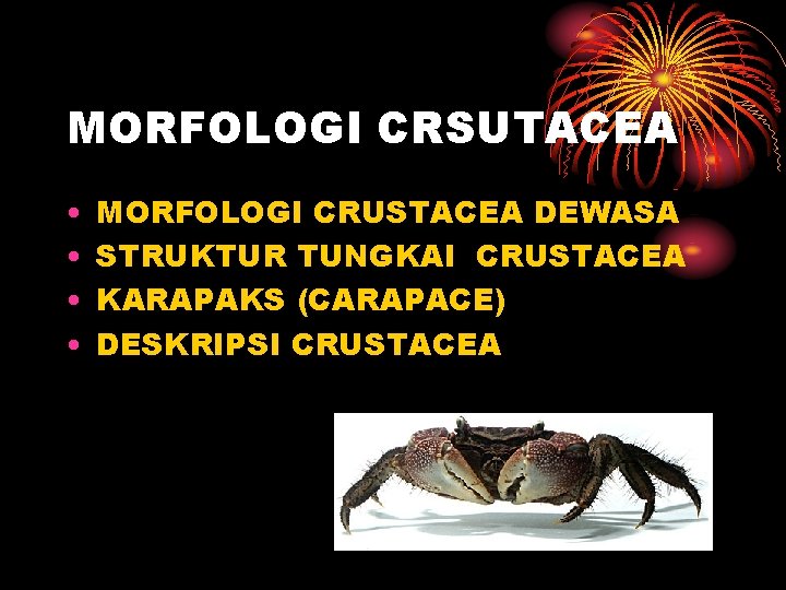 MORFOLOGI CRSUTACEA • • MORFOLOGI CRUSTACEA DEWASA STRUKTUR TUNGKAI CRUSTACEA KARAPAKS (CARAPACE) DESKRIPSI CRUSTACEA