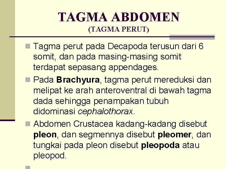 TAGMA ABDOMEN (TAGMA PERUT) n Tagma perut pada Decapoda terusun dari 6 somit, dan