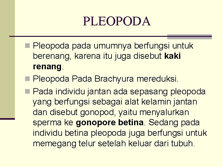 PLEOPODA n Pleopoda pada umumnya berfungsi untuk berenang, karena itu juga disebut kaki renang.