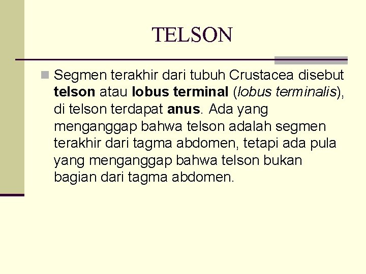 TELSON n Segmen terakhir dari tubuh Crustacea disebut telson atau lobus terminal (lobus terminalis),