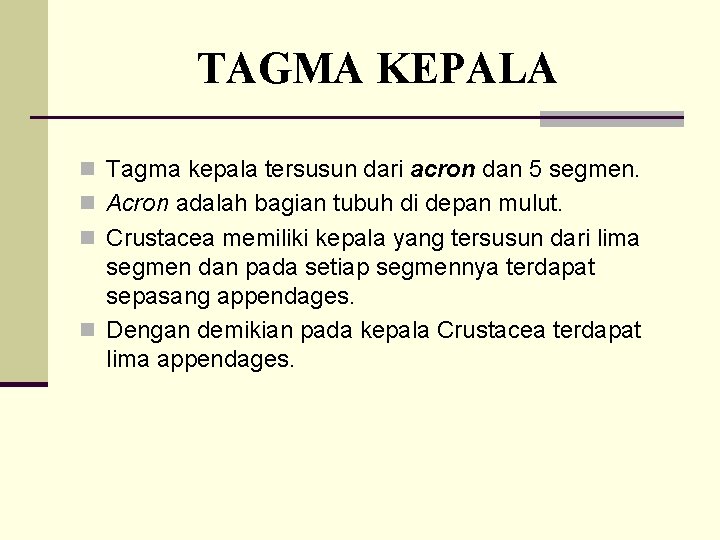 TAGMA KEPALA n Tagma kepala tersusun dari acron dan 5 segmen. n Acron adalah