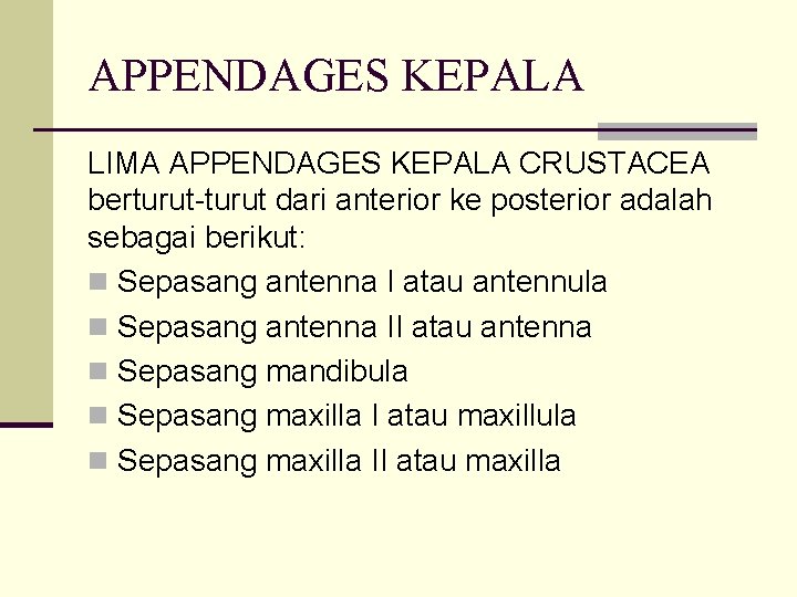 APPENDAGES KEPALA LIMA APPENDAGES KEPALA CRUSTACEA berturut-turut dari anterior ke posterior adalah sebagai berikut: