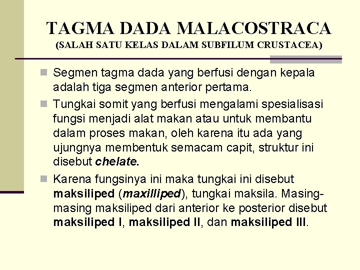 TAGMA DADA MALACOSTRACA (SALAH SATU KELAS DALAM SUBFILUM CRUSTACEA) n Segmen tagma dada yang