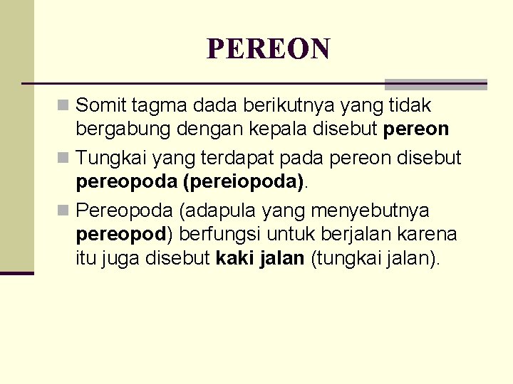 PEREON n Somit tagma dada berikutnya yang tidak bergabung dengan kepala disebut pereon n