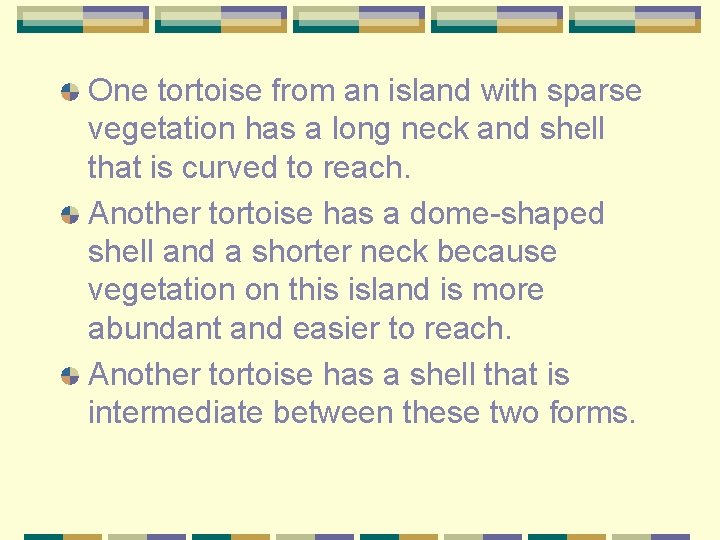 One tortoise from an island with sparse vegetation has a long neck and shell