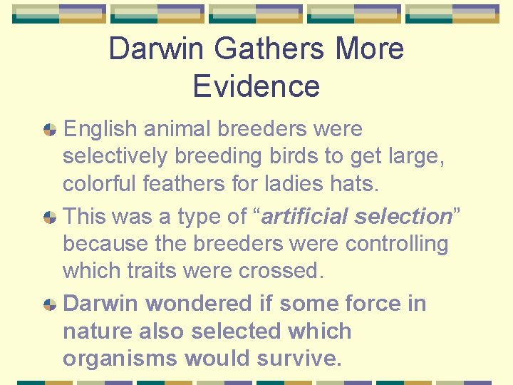 Darwin Gathers More Evidence English animal breeders were selectively breeding birds to get large,