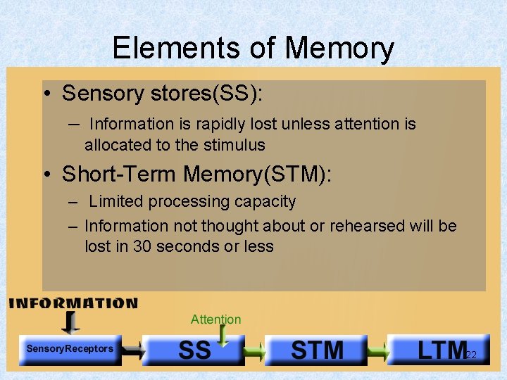 Elements of Memory • Sensory stores(SS): – Information is rapidly lost unless attention is