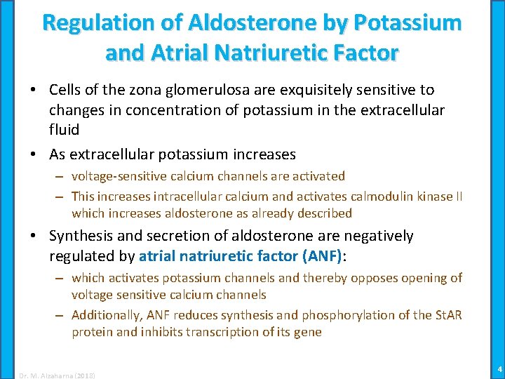 Regulation of Aldosterone by Potassium and Atrial Natriuretic Factor • Cells of the zona