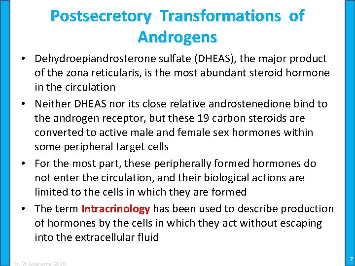 Postsecretory Transformations of Androgens • Dehydroepiandrosterone sulfate (DHEAS), the major product of the zona