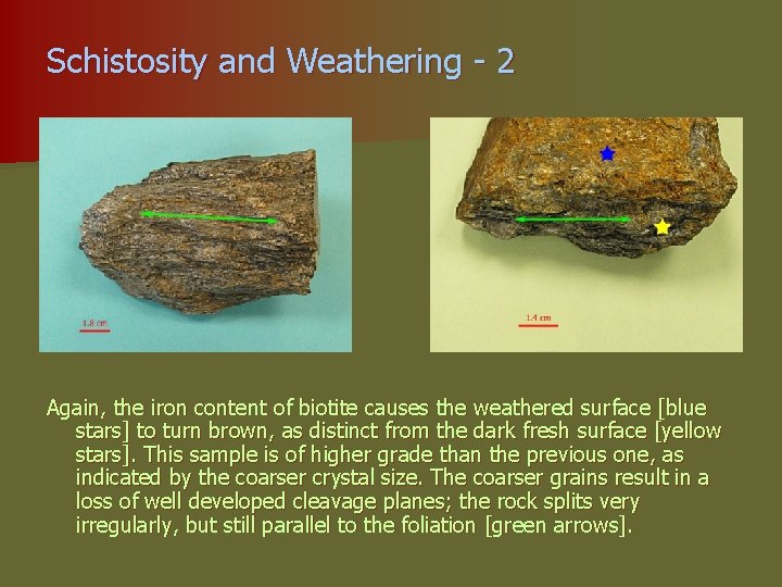 Schistosity and Weathering - 2 Again, the iron content of biotite causes the weathered