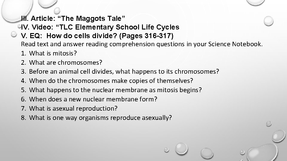 III. Article: “The Maggots Tale” IV. Video: “TLC Elementary School Life Cycles V. EQ:
