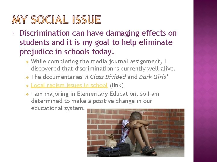  Discrimination can have damaging effects on students and it is my goal to