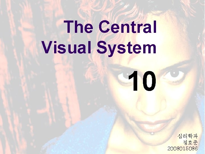 The Central Visual System 10 심리학과 정호준 2008015086 