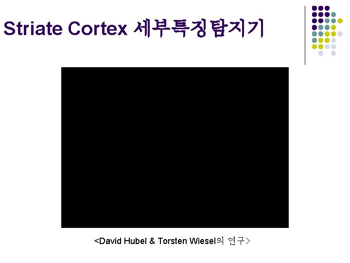 Striate Cortex 세부특징탐지기 <David Hubel & Torsten Wiesel의 연구> 