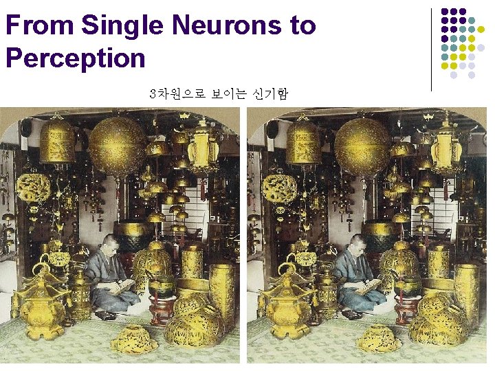 From Single Neurons to Perception 3차원으로 보이는 신기함 