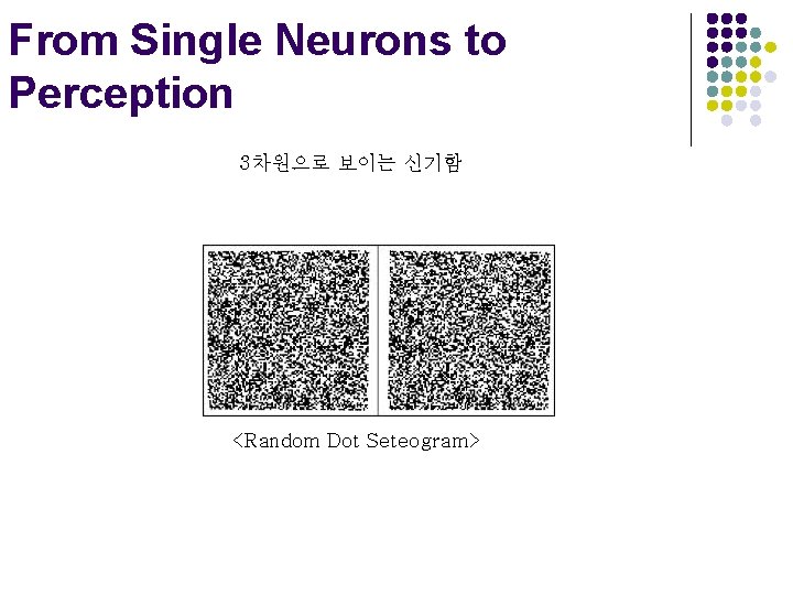 From Single Neurons to Perception 3차원으로 보이는 신기함 <Random Dot Seteogram> 