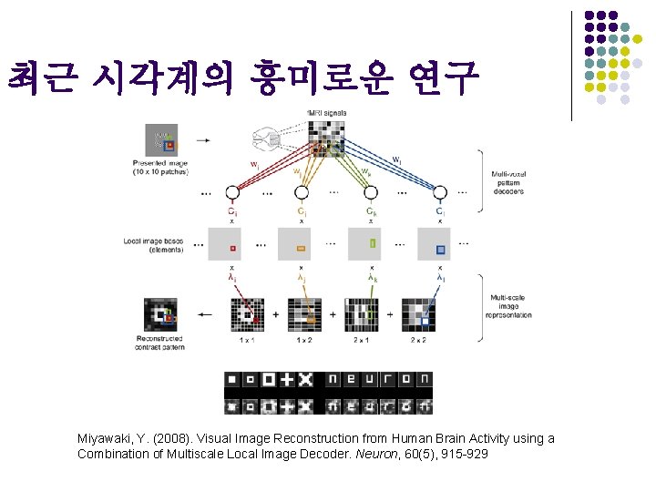 최근 시각계의 흥미로운 연구 Miyawaki, Y. (2008). Visual Image Reconstruction from Human Brain Activity